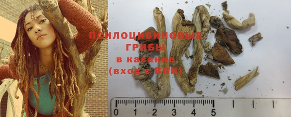 MDMA Новозыбков