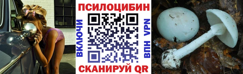 Галлюциногенные грибы мухоморы  цены   ОМГ ОМГ онион  Верхняя Пышма 