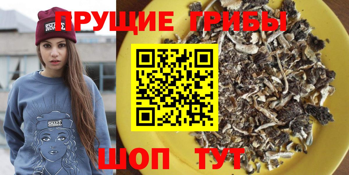 Галлюциногенные грибы прущие грибы Верхняя Пышма