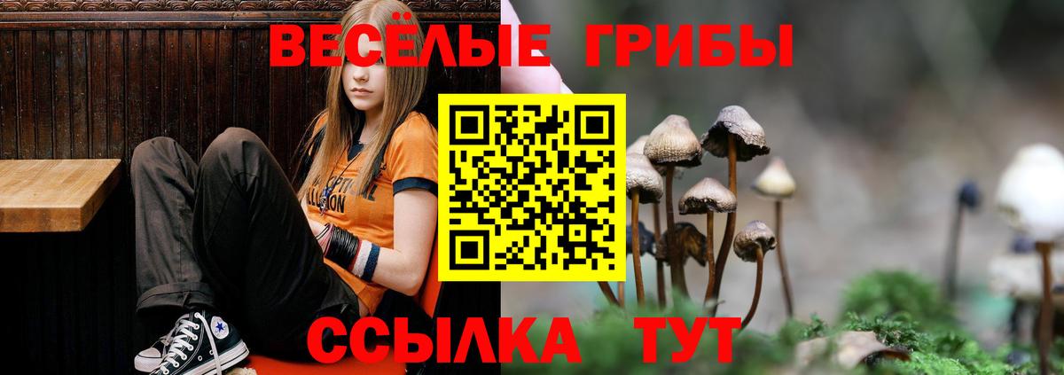Галлюциногенные грибы мицелий  Вход с VPN  Верхняя Пышма 